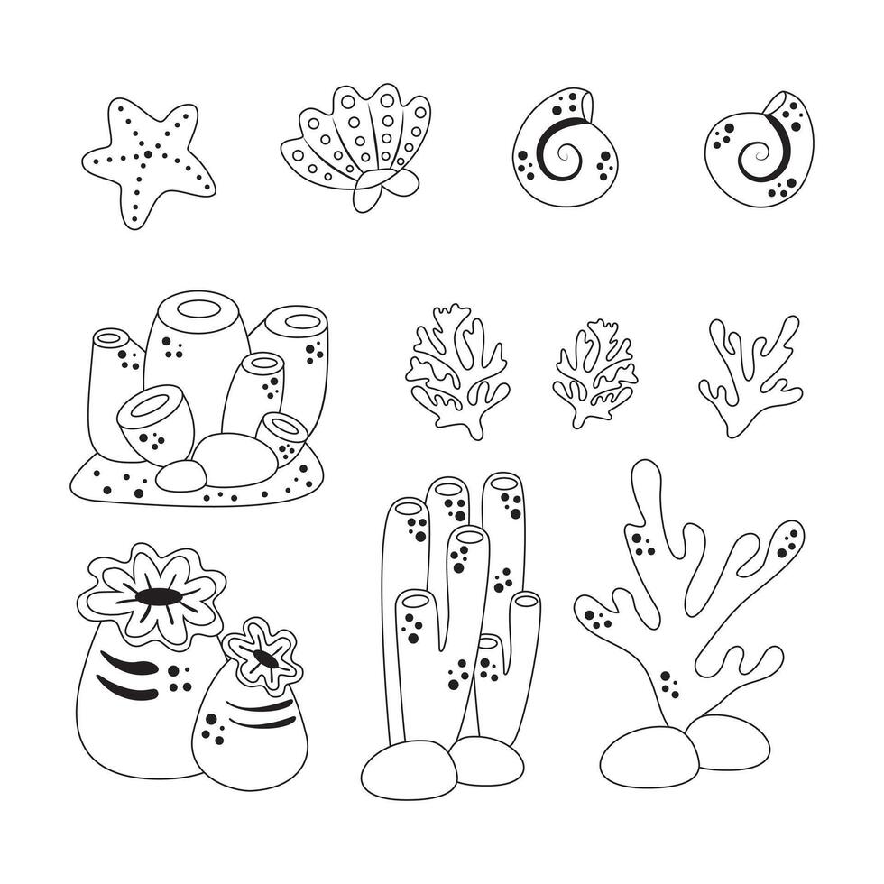 Marine set, anemones, algae and coral in a simple cartoon style. Color graphics for books and posters. children guides. black and white image vector