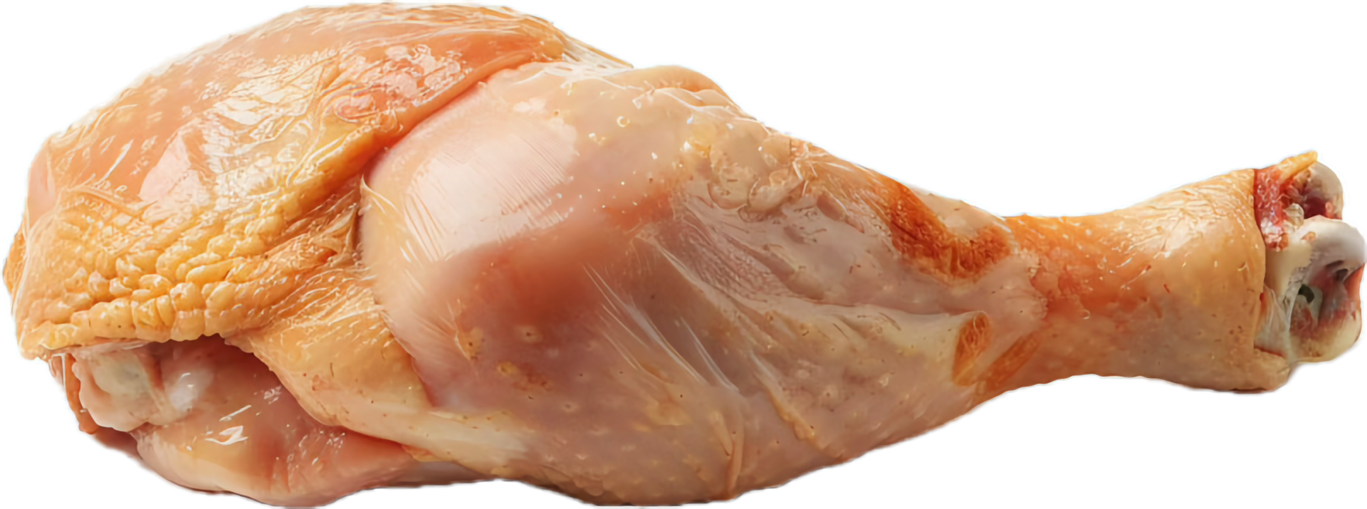 Raw Chicken Drumstick with Herbs. png