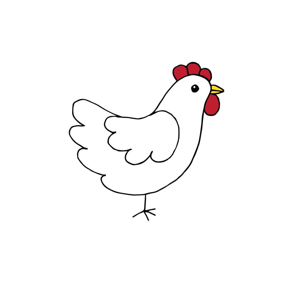 Hand drawn doodle sketch chicken vector