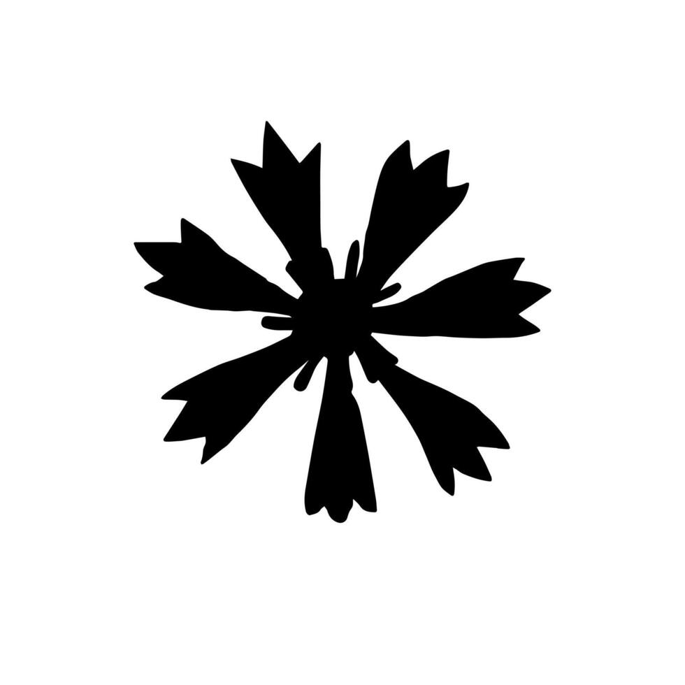 Hand drawn doodle sketch cornflower vector