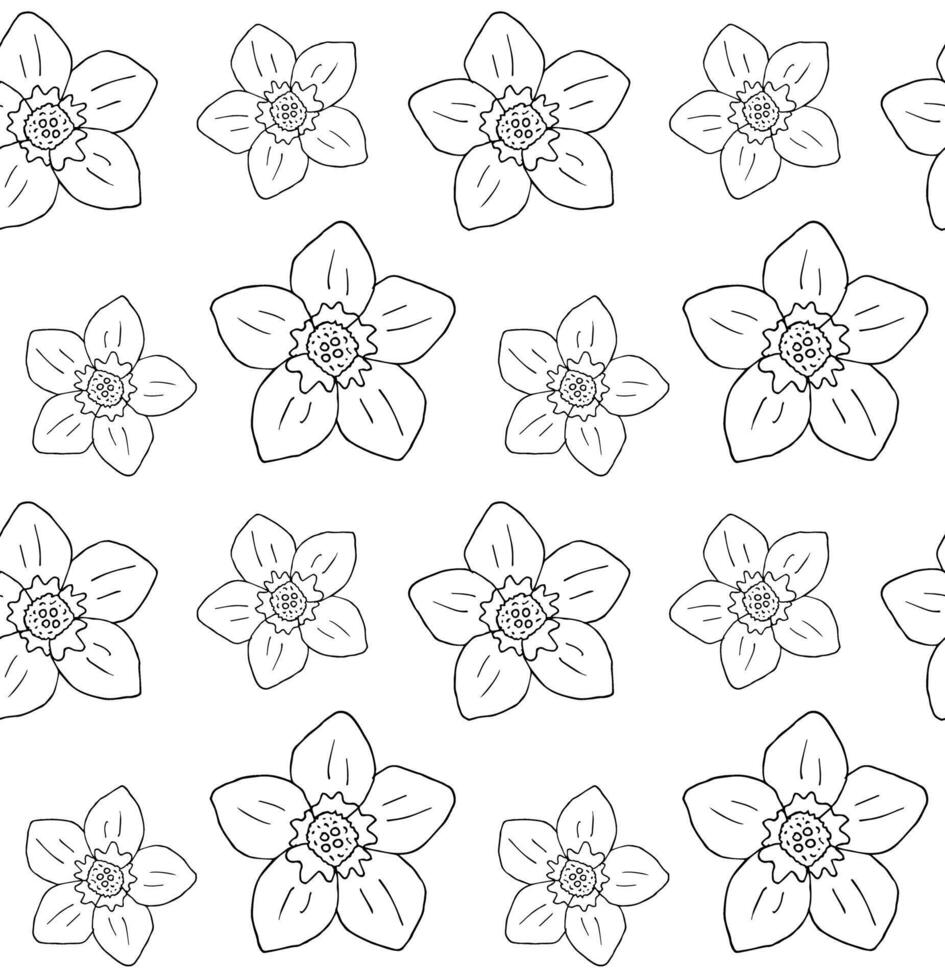 Seamless pattern of forget me not flower vector