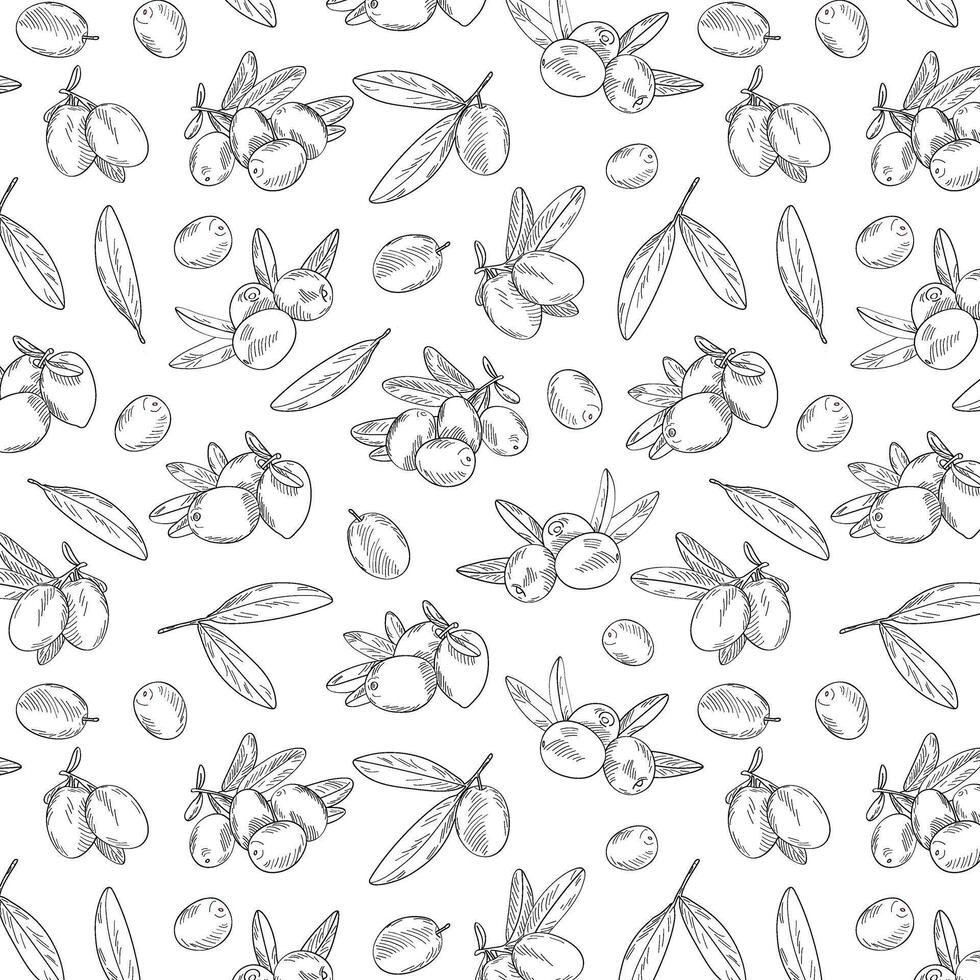 Seamless endless pattern of olives. Illustration in hand drawn style. Can be used to create packaging, covers, backgrounds, cards, textiles, clothing, souvenirs and much more. vector