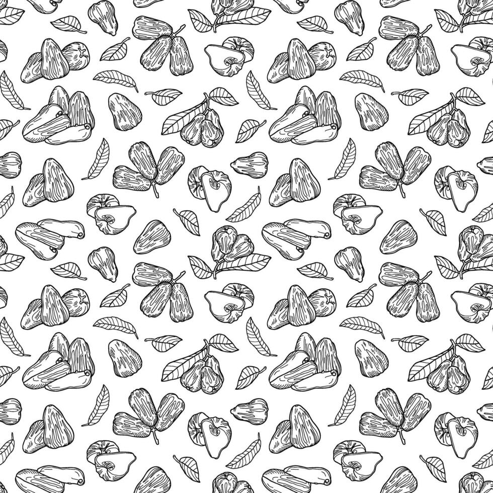 Seamless endless pattern of chompu apple of heaven. Illustration in hand drawn style. Can be used to create packaging, covers, backgrounds, cards, textiles, clothing, souvenirs and much more. vector