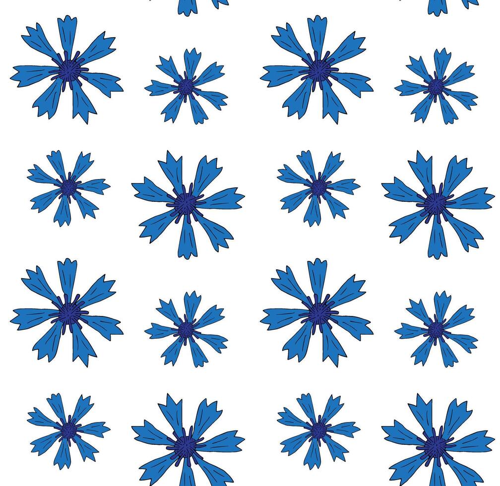 Seamless pattern of hand drawn cornflower vector