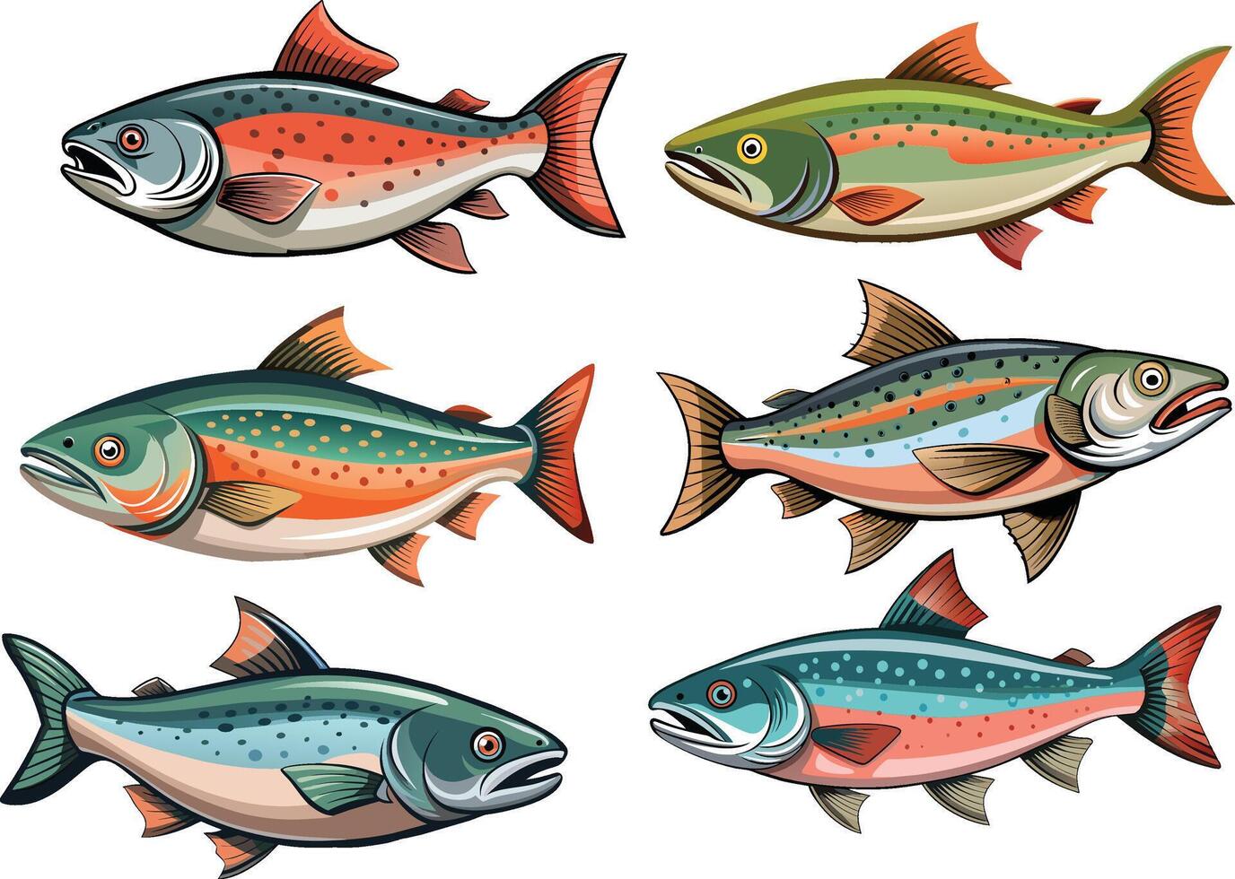 Wild Salmon Fish and Their Colors vector