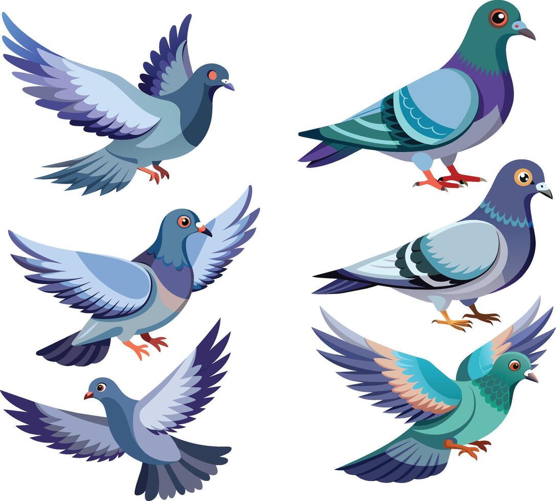 Pigeon birds in various positions and colors- vector
