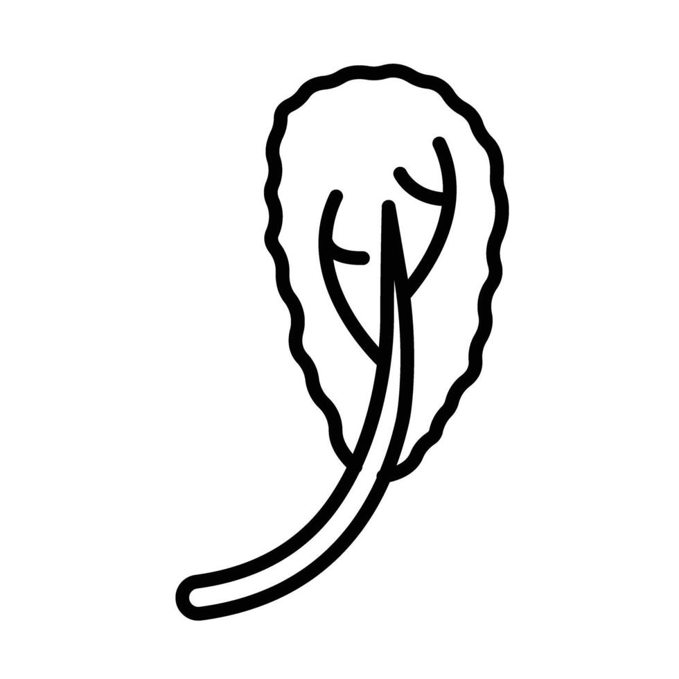 Mustard greens Line Icon Design vector