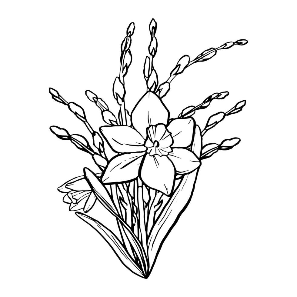 Black contour linear silhouette daffodil and willow branches isolated on white background. simple flat graphic illustration flower. A simple line hand drawing plants for the design vector