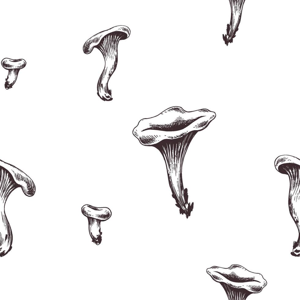 Mushrooms forest edible chanterelles orange. Graphic illustration, hand drawn with brown ink, line art monochrome. Seamless pattern, simple on the theme of forest, harvest, nature. vector