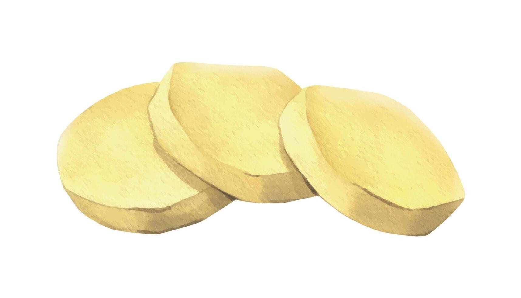 Peeled white potatoes, cut into round slices and folded into a pile. Watercolor illustration, hand-drawn on the theme of harvest, cooking, food, vegetable shop. Element isolated from background. vector