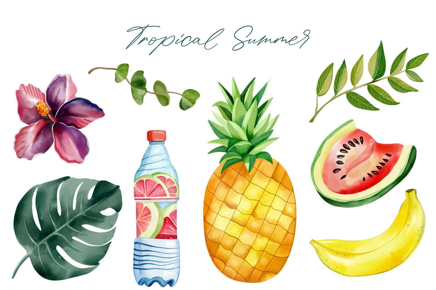 Watercolor summertime clipart. Exotic fruits. Palm leaves. Summer elements. vector