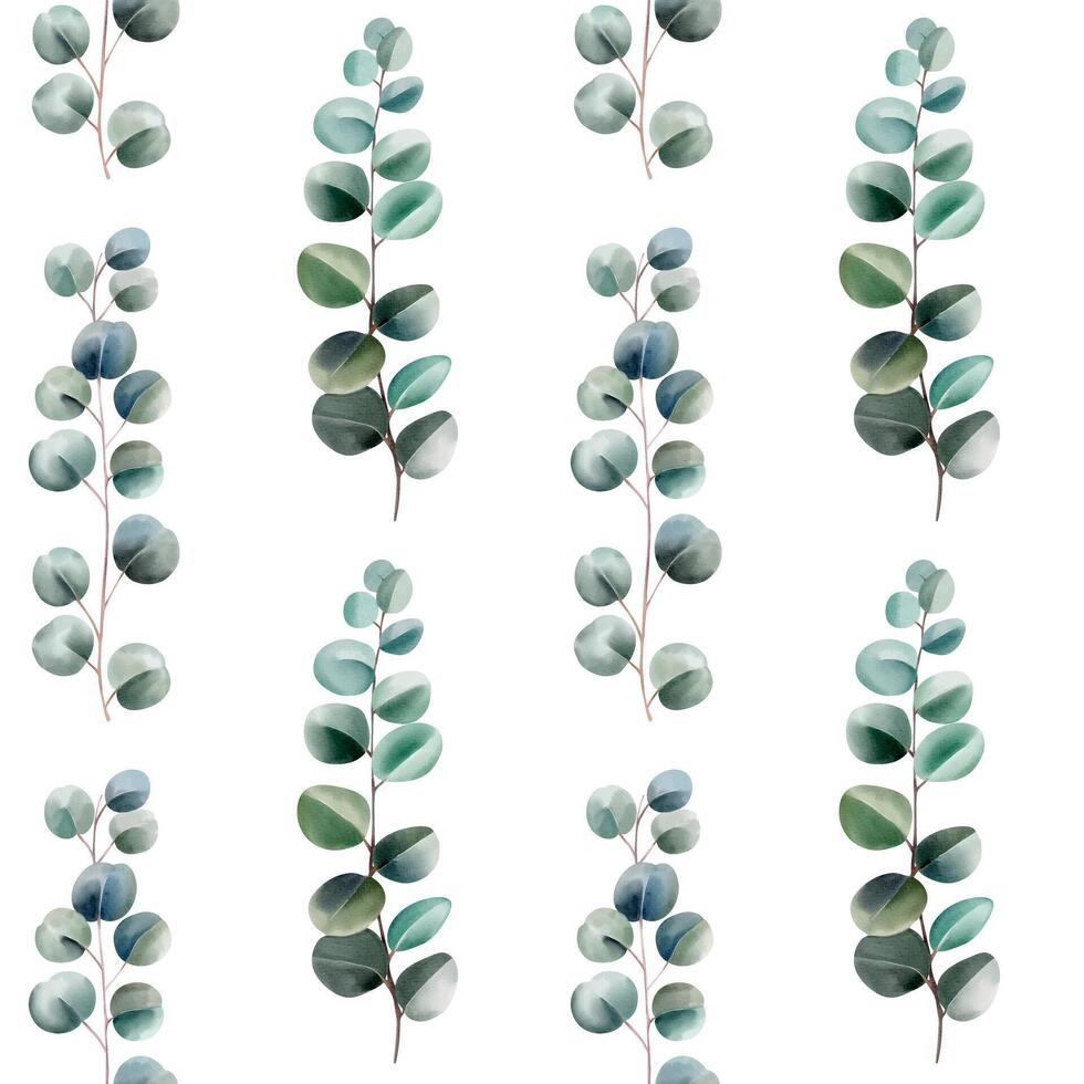 Watercolor eucalyptus pattern. Hand drawn seamless pattern with eucalyptus vector