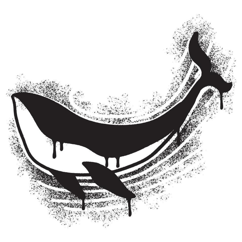 Spray Painted Graffiti whale icon Sprayed isolated with a white background. vector