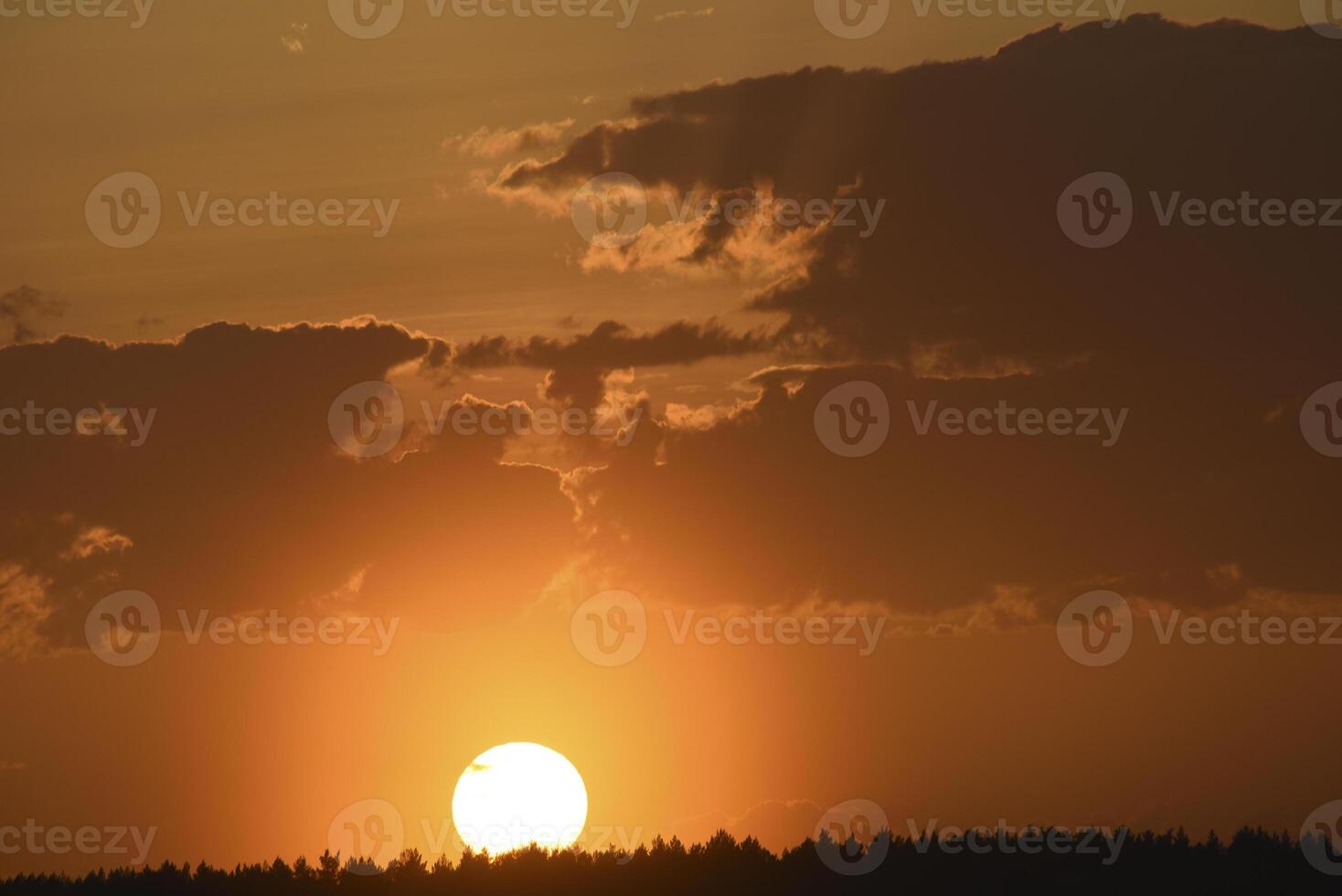 Colorful sunset in the evening. The setting disk of the sun over the forest. Clouds and a yellow sunset. photo