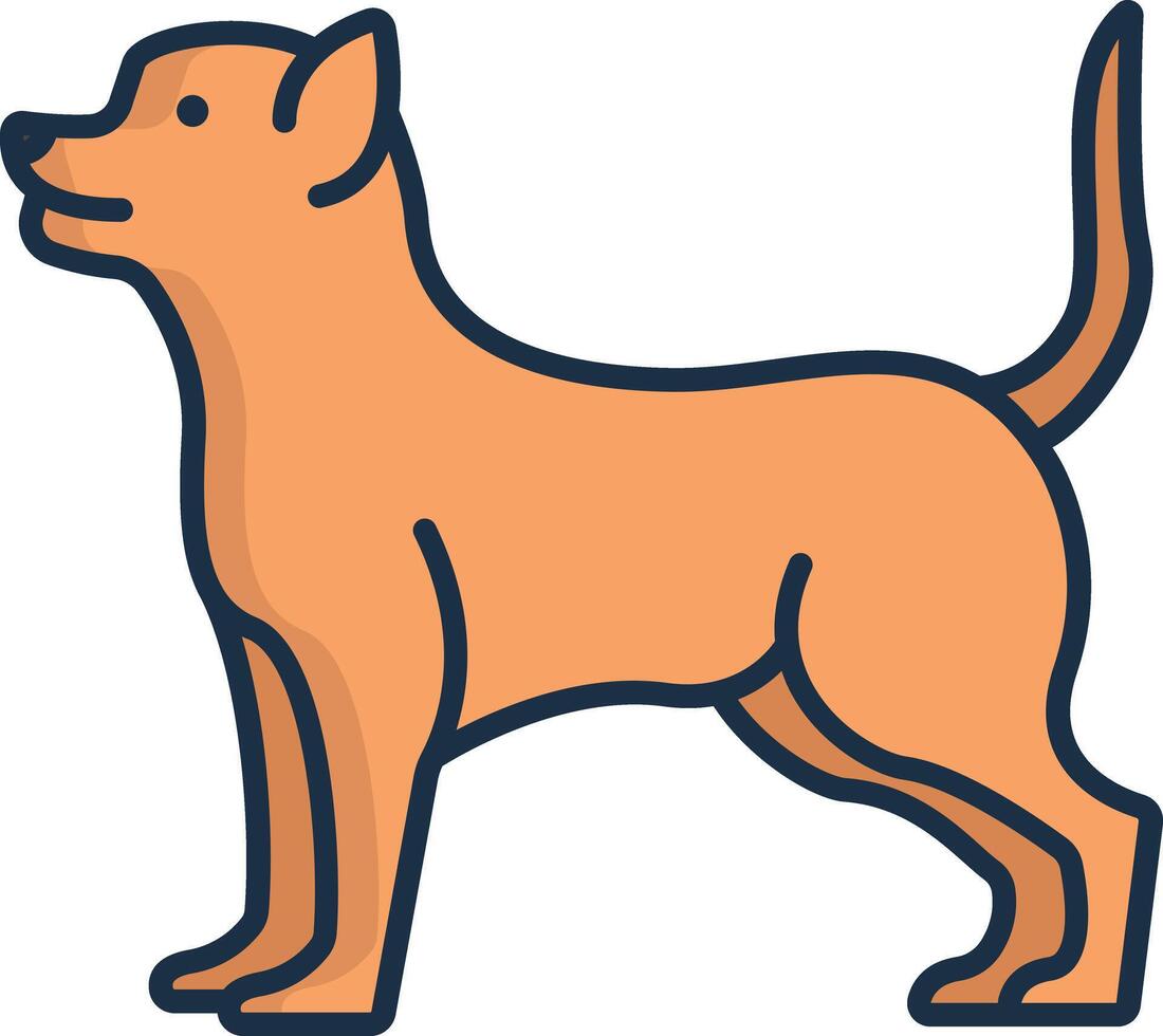Chihuahua dog linear color illustration vector
