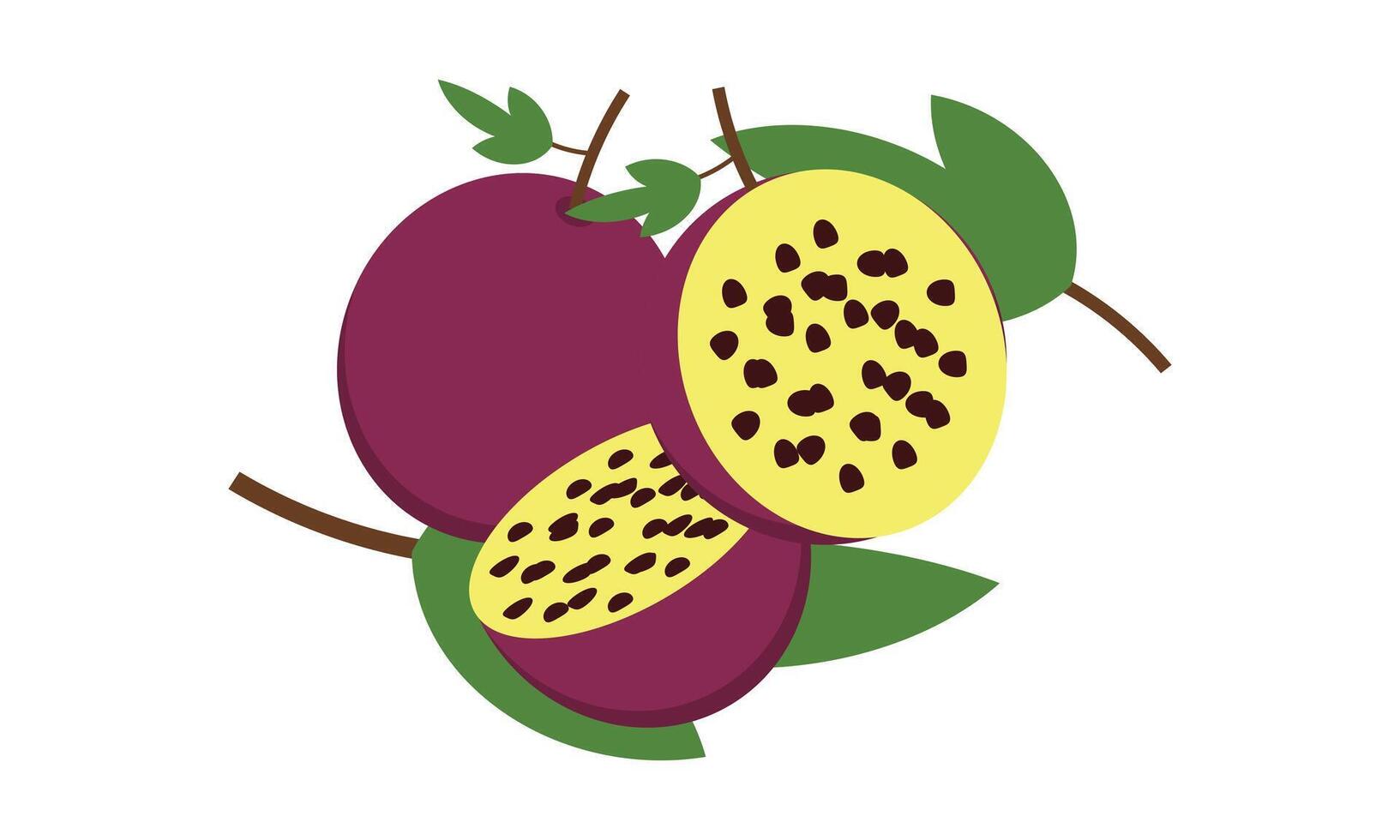Passion Fruit Design. vector