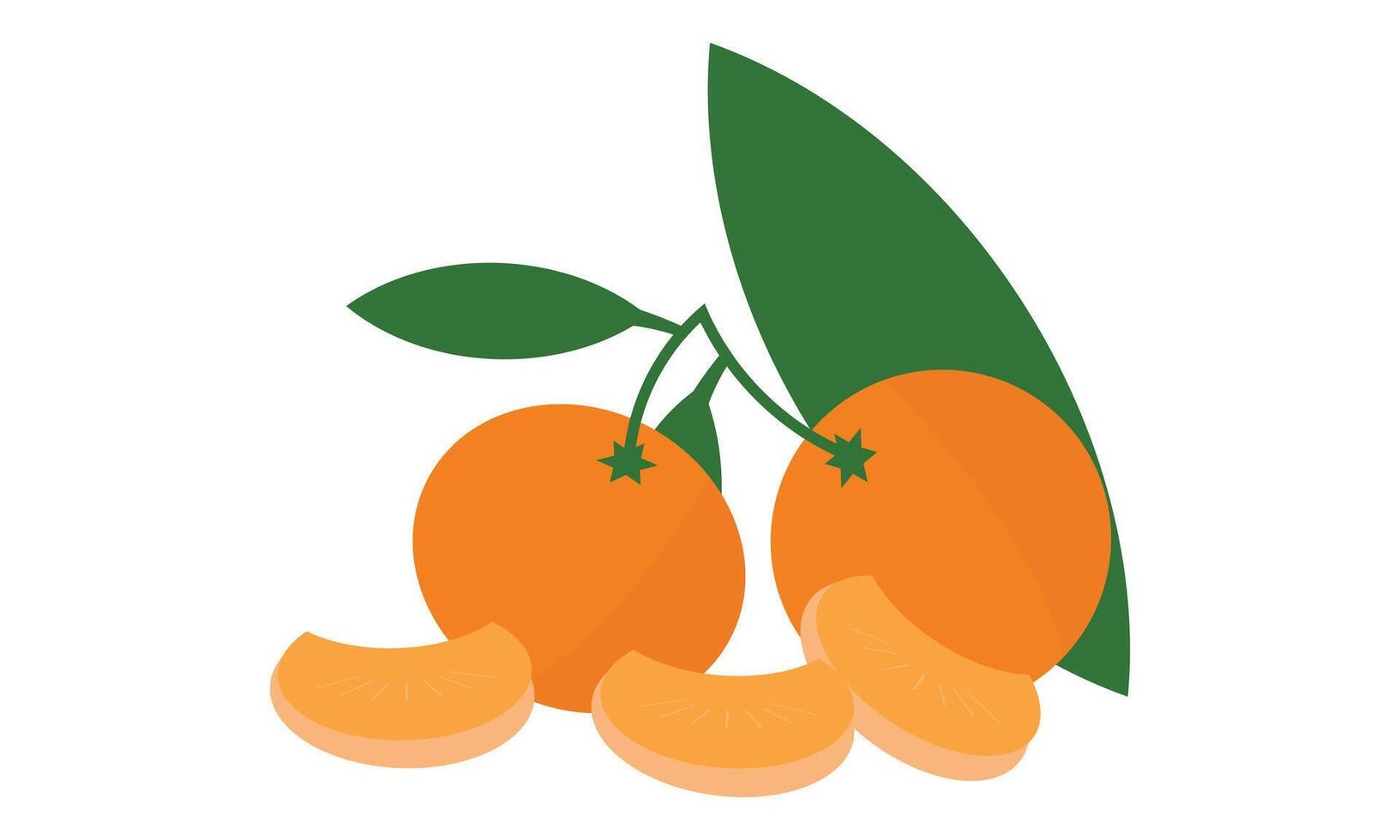 Orange Fruit Design. vector
