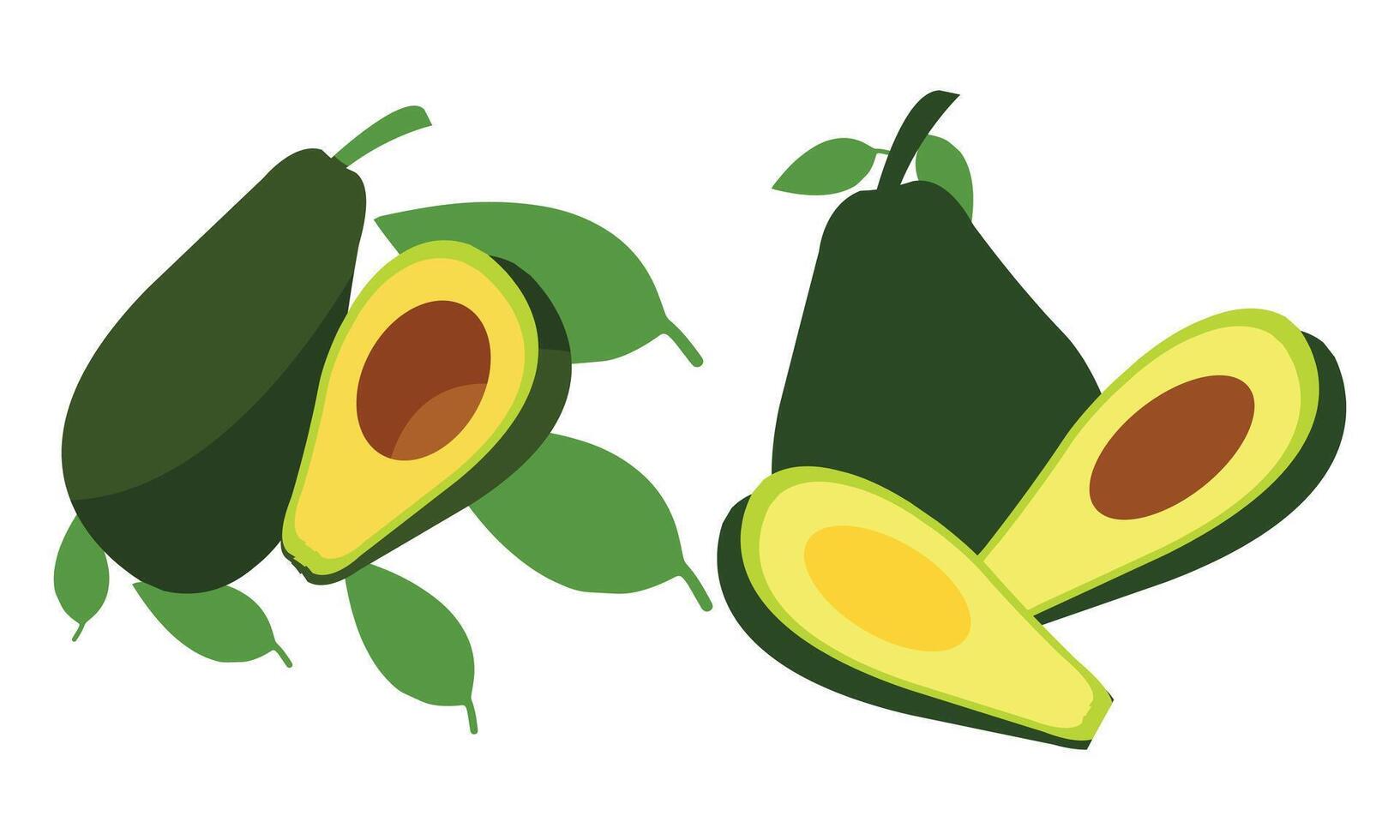 Avocado Fruit Design vector