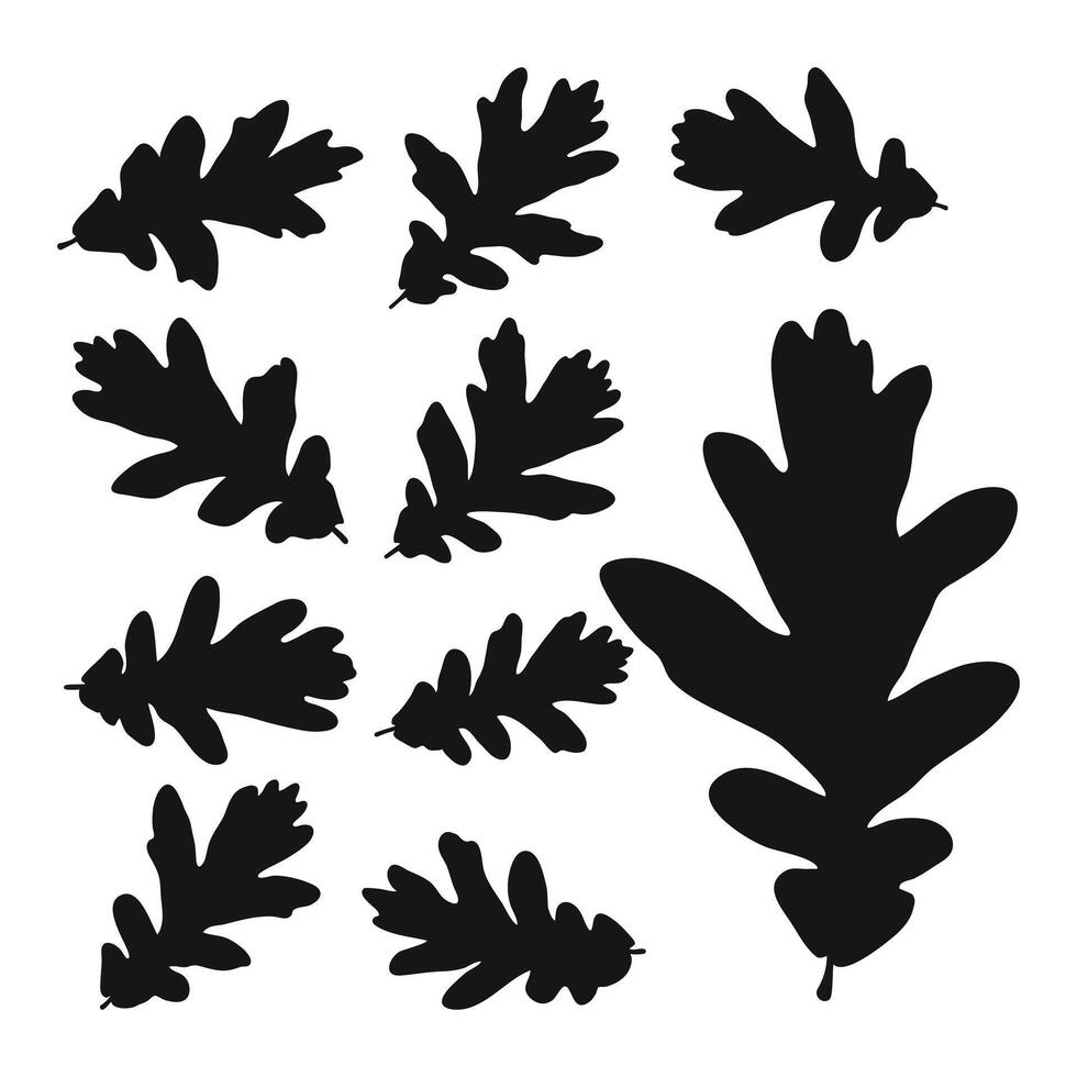 Set of silhouettes of a black shape of oak leaves vector
