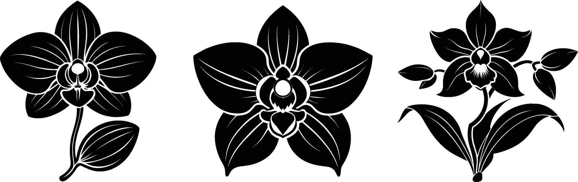 Silhouette set of a orchid flower vector