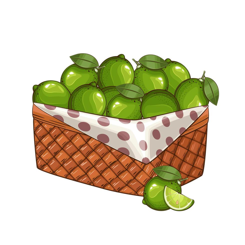 Lime Basket. Basket of fruits illustration. Organic design concept. Hand Drawn fruits collection. Basket with fruits. Farm products. vector