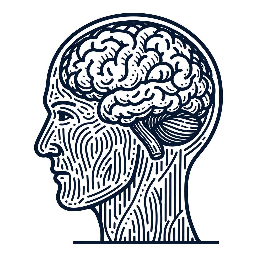 Human head and brain drawing line vector