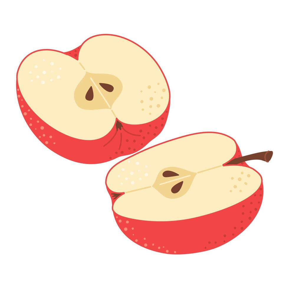 Red apple cut in half. Two piece of red fruit with seeds. Apple half icon. Isolated on white. Hand drawn Trendy flat style. Healthy vegetarian snack, cut apple for design illustration vector