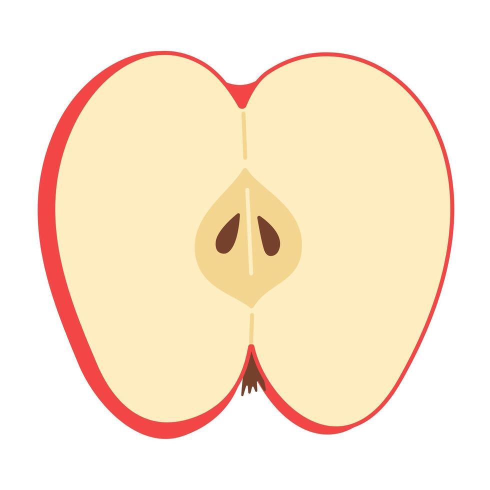 Fresh red apple slice icon. Healthy vegetarian snack, cut apple for design, infographic. Sliced on pieces apple. Hand drawn trendy flat style isolated on white illustration vector