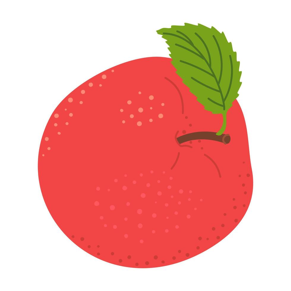 Red juicy ripe apple with green leaf. Hand drawn Red apple trendy flat style isolated on white. Apple harvest. Healthy vegetarian snack, cut apple for design, infographic illustration vector