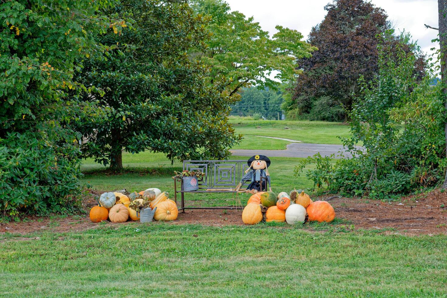 Autumn seasonal display photo
