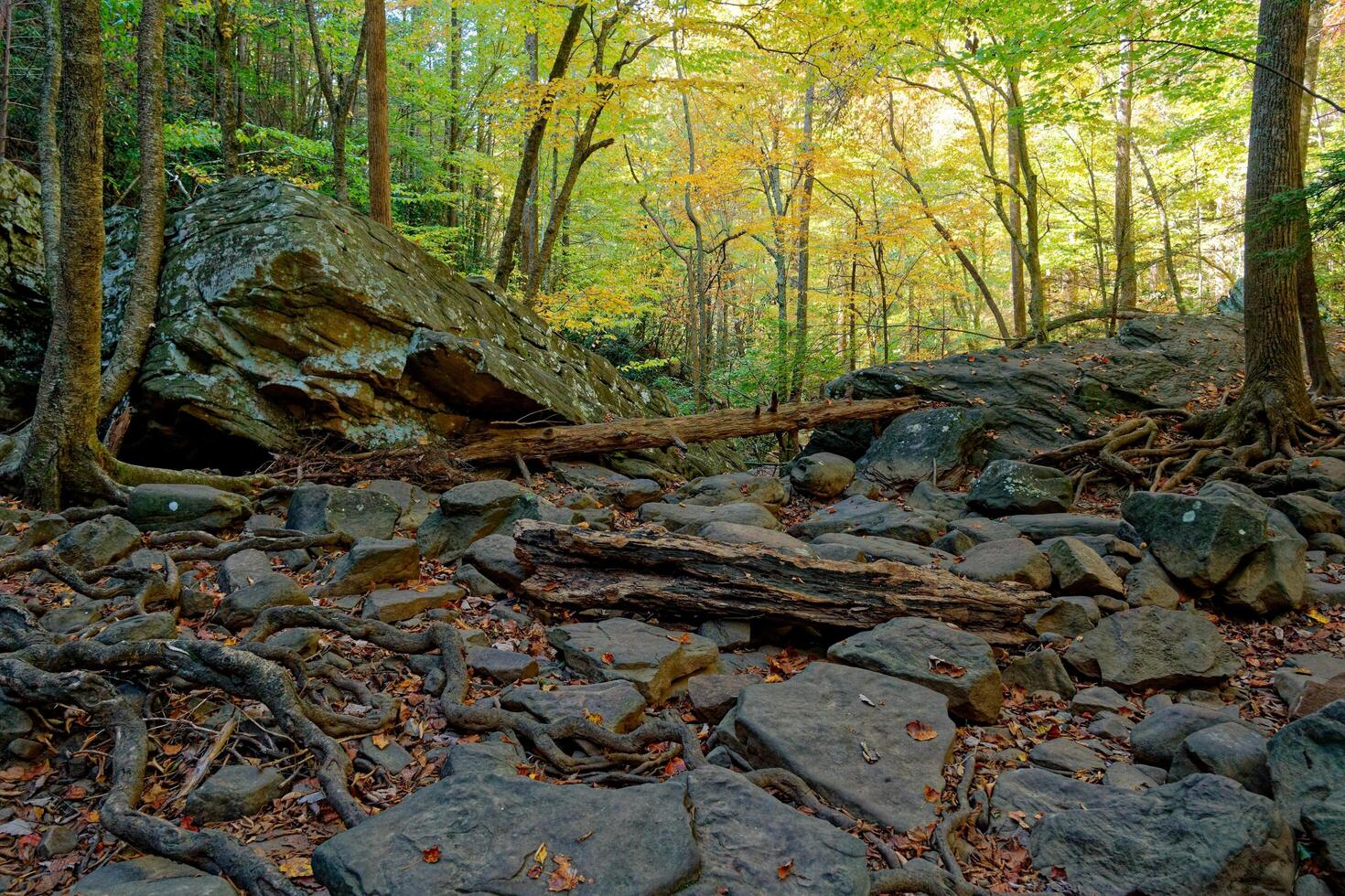 Bottom of a dry riverbed photo