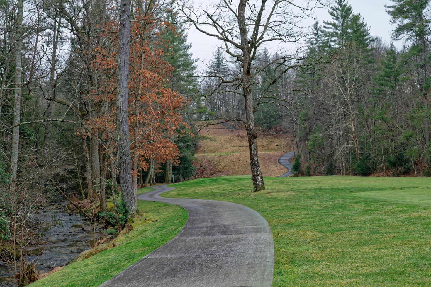 Winding path through the park photo
