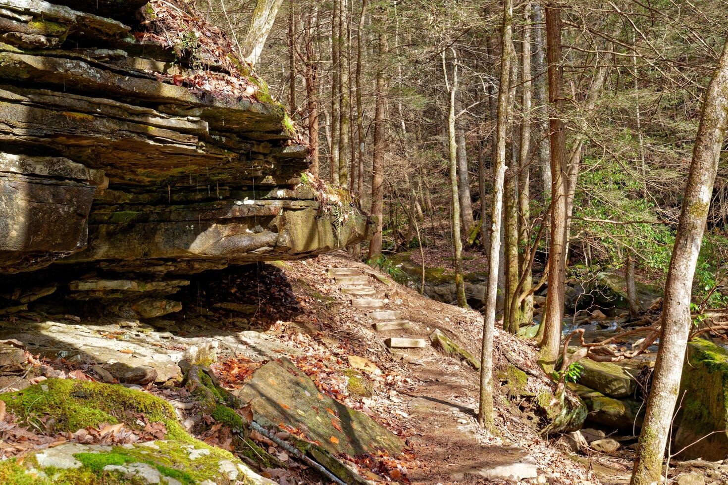 Trail through the mountains photo