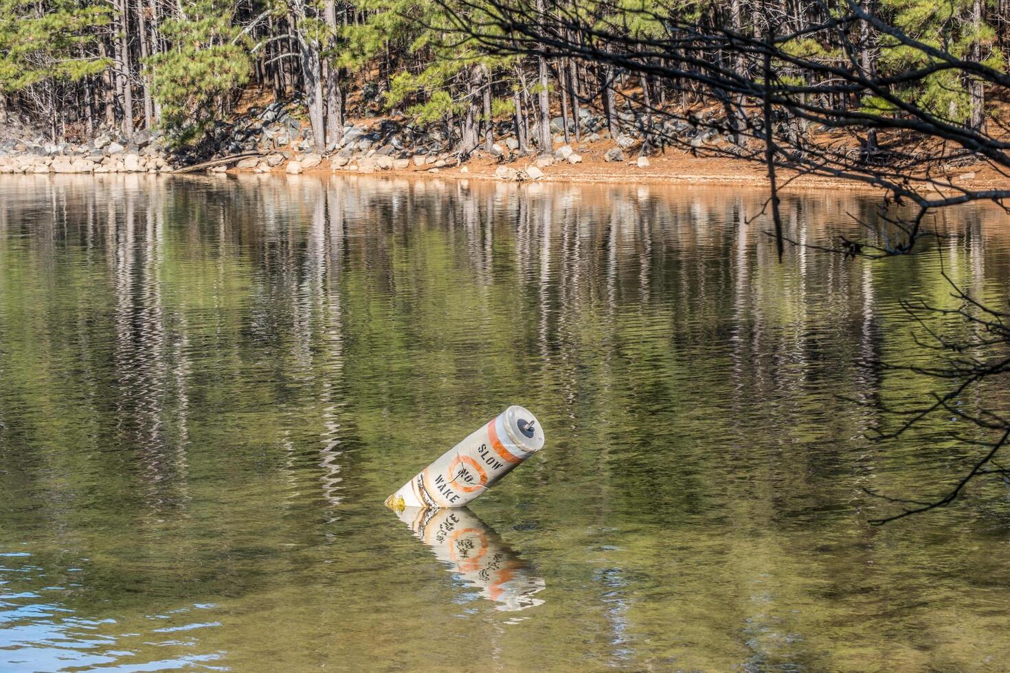 No wake buoy in the lake photo