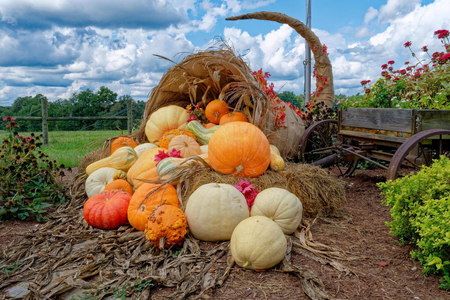 Cornucopia autumn display photo