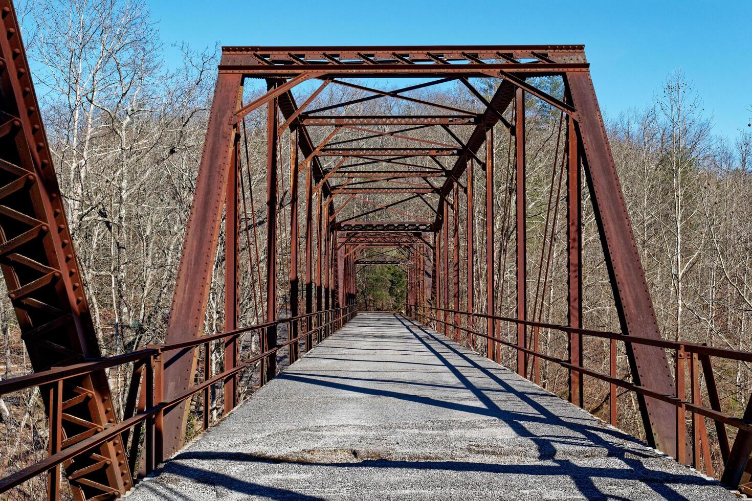 Nemo bridge in Tennessee photo