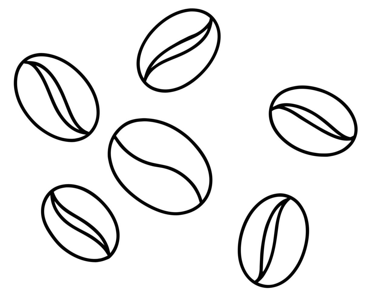 Coffee beans background vector