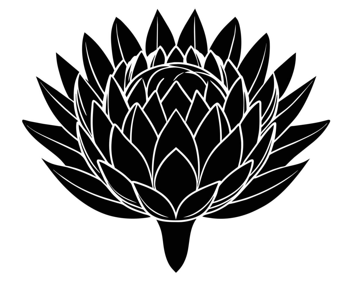 Black and white dahlia flower vector