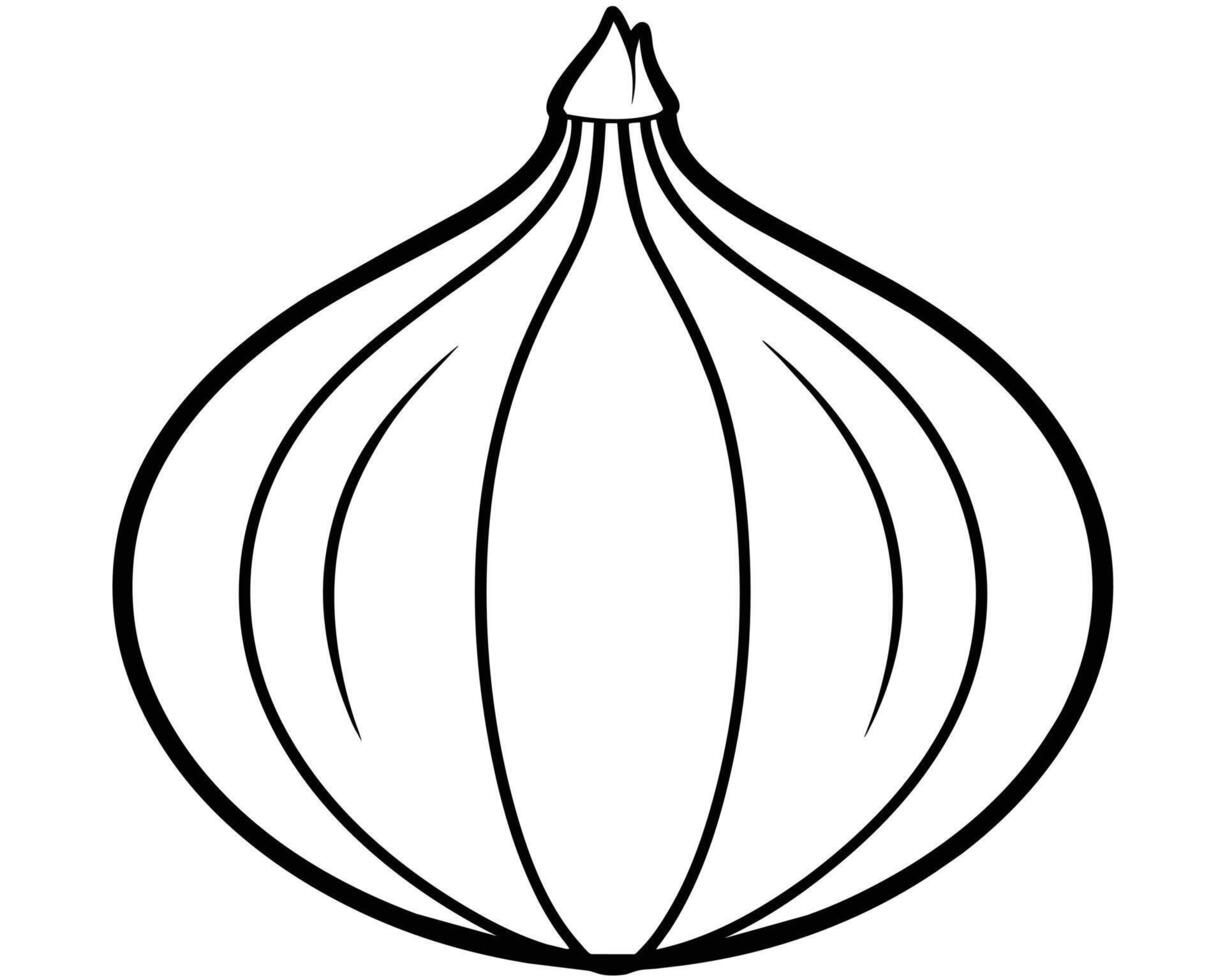 Onion isolated on white vector
