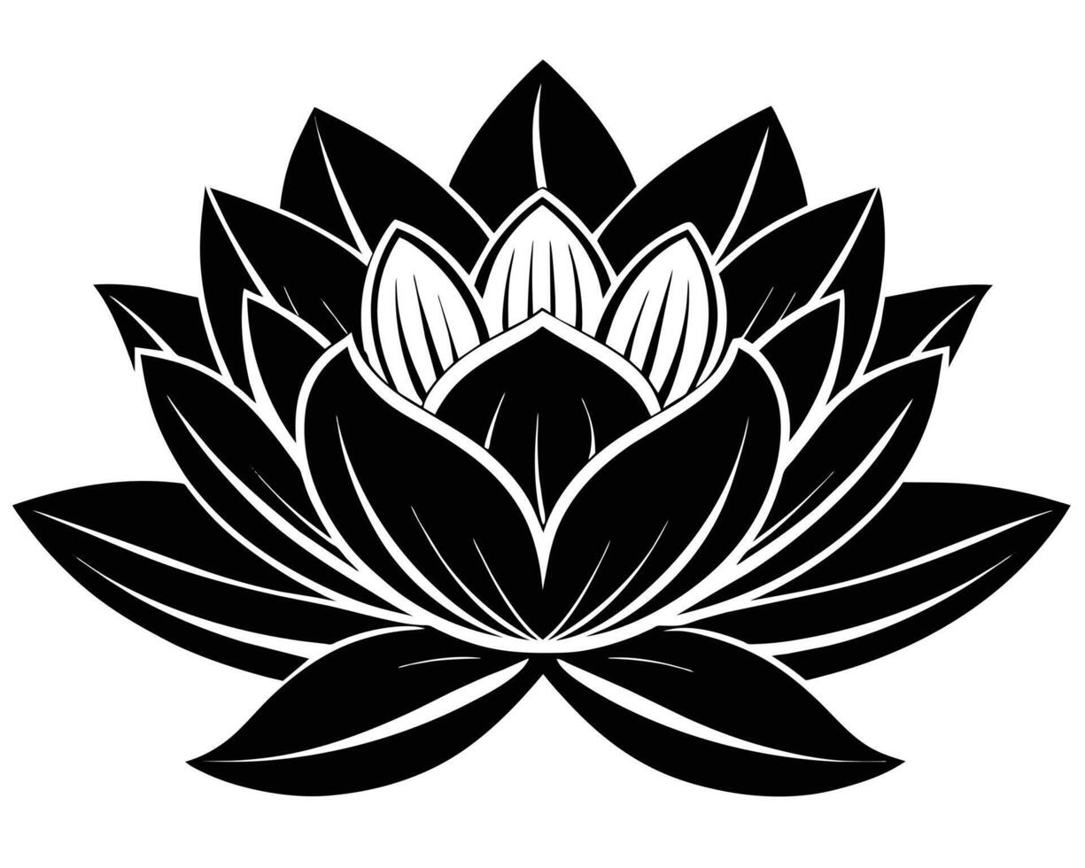 Lotus flower isolated on white vector