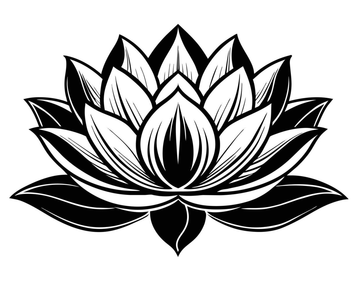 Lotus flower isolated on white vector