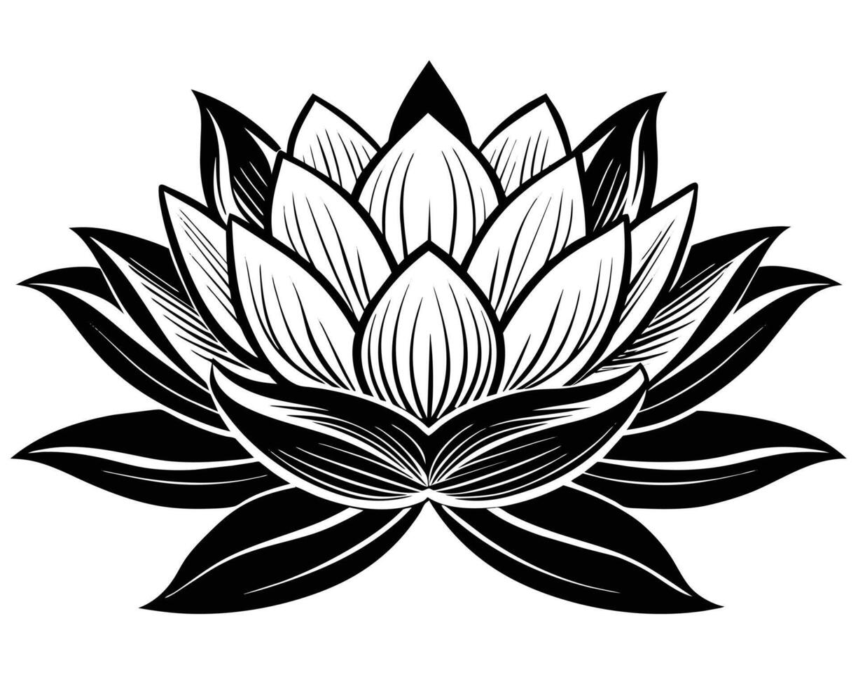 Lotus flower isolated on white vector