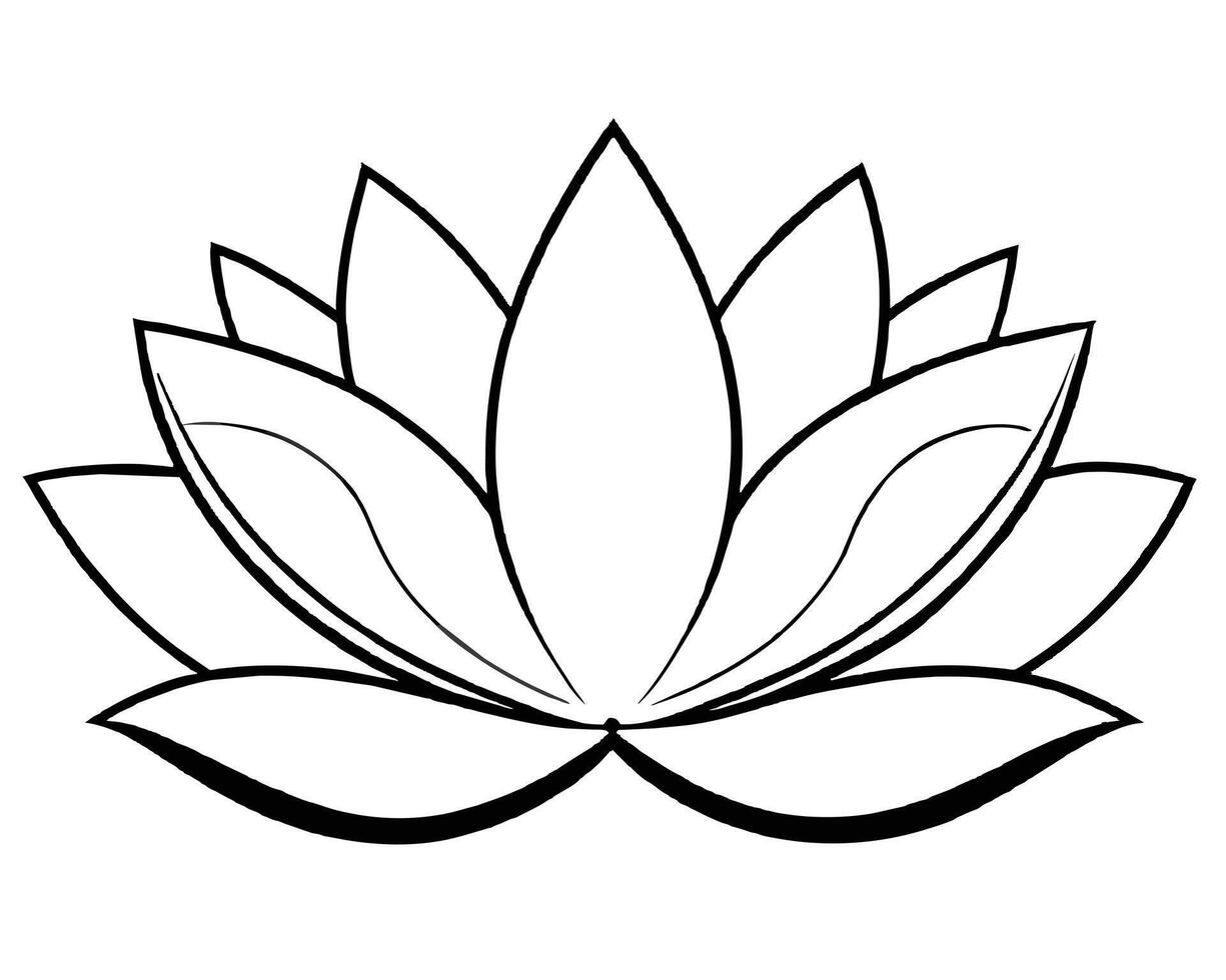 Lotus flower isolated on white vector