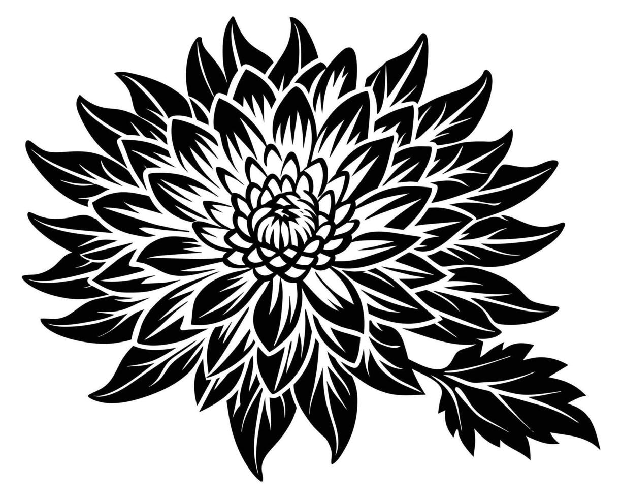 Black and white dahlia flower vector