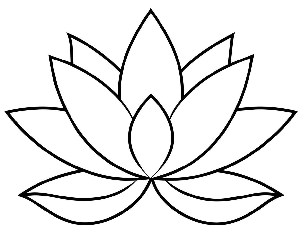 Lotus flower isolated on white vector