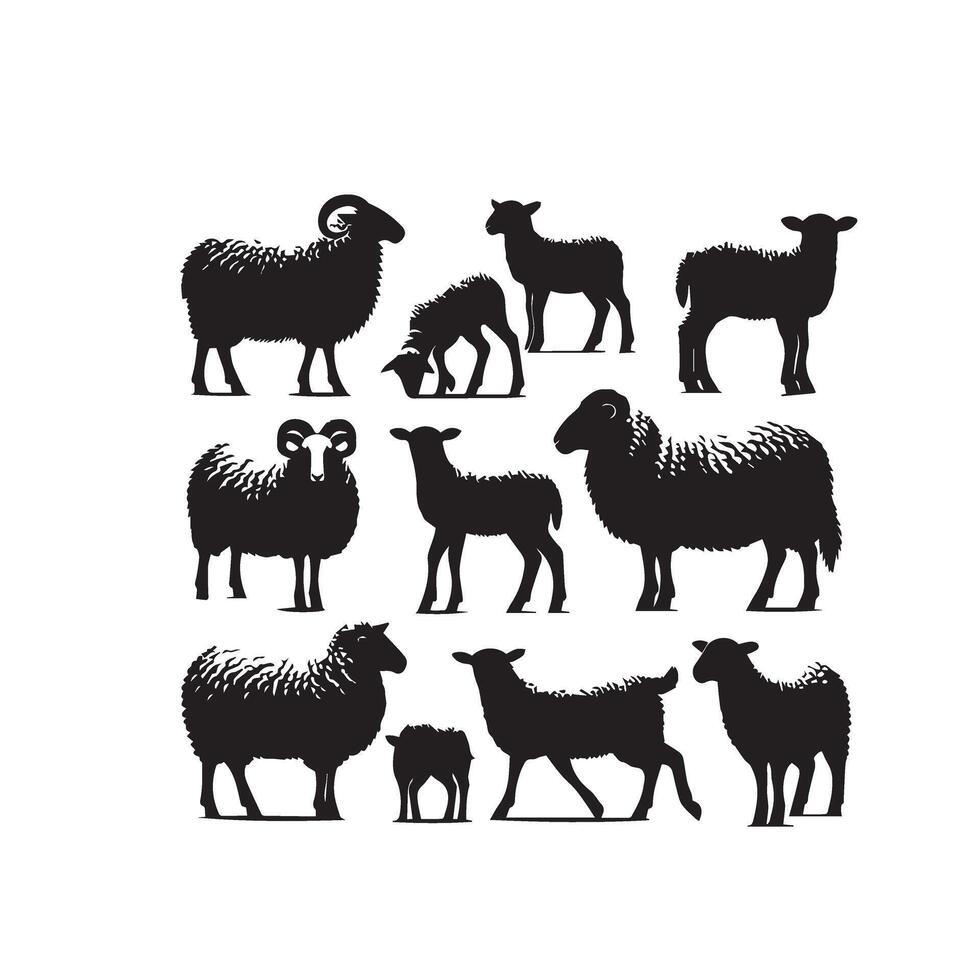 Sheep silhouette on white background. Sheep illustration sheep logo vector