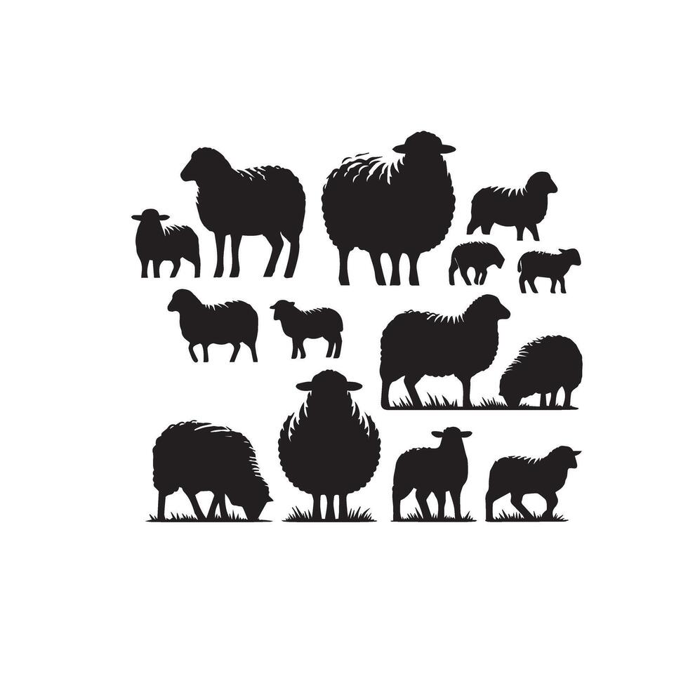 Sheep silhouette on white background. Sheep illustration sheep logo vector