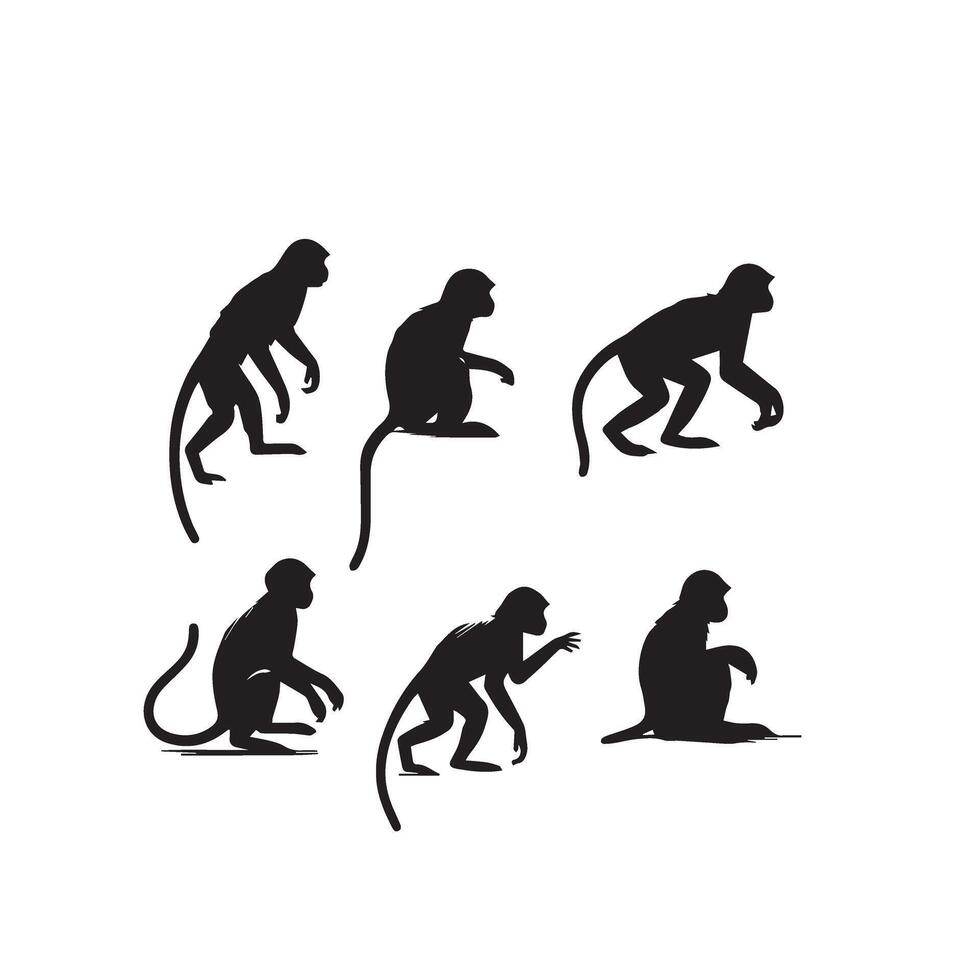 Monkey silhouette blank and white. Monkey logo, monkey illustration vector