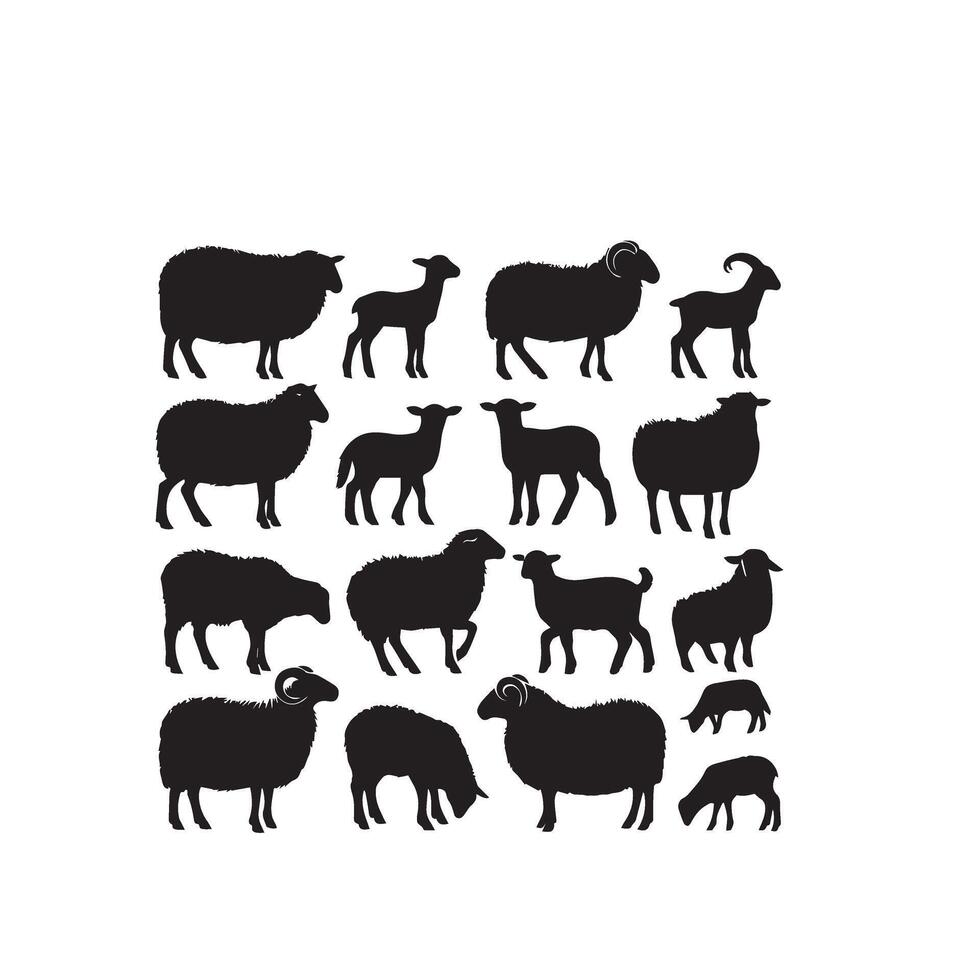 Sheep silhouette on white background. Sheep illustration sheep logo vector