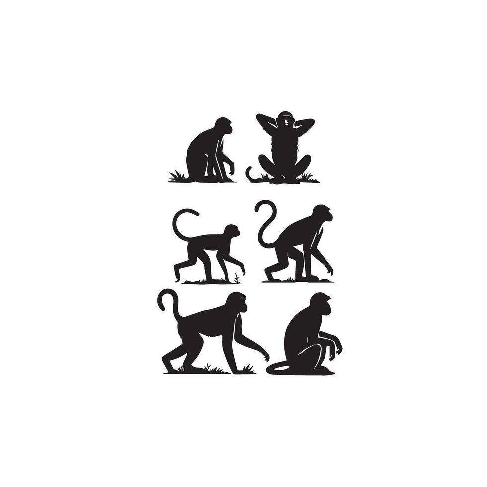 Monkey silhouette blank and white. Monkey logo, monkey illustration vector